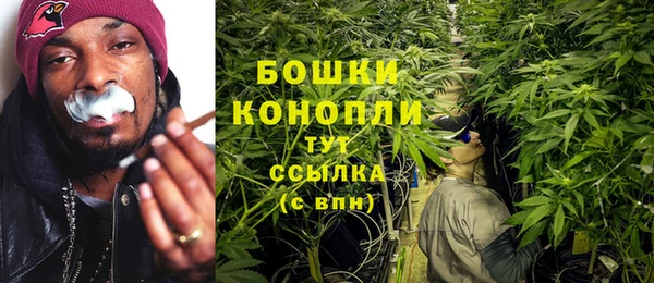 хмурый Аркадак