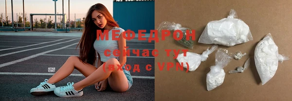 хмурый Аркадак