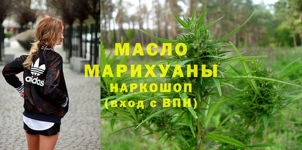 хмурый Аркадак