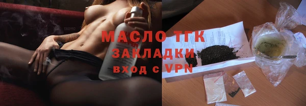 хмурый Аркадак