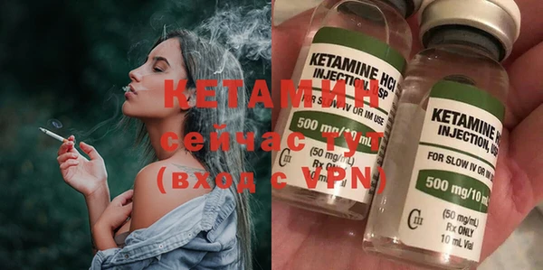 хмурый Аркадак
