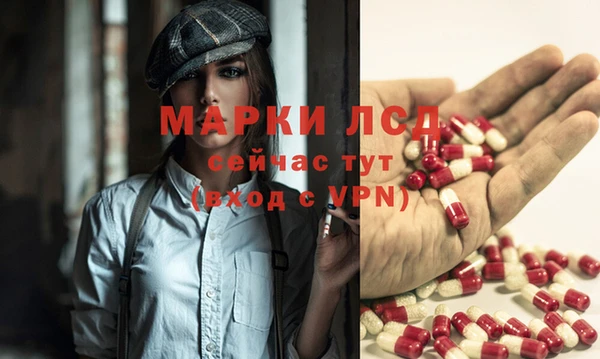 хмурый Аркадак