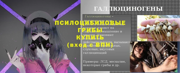 spice Армянск